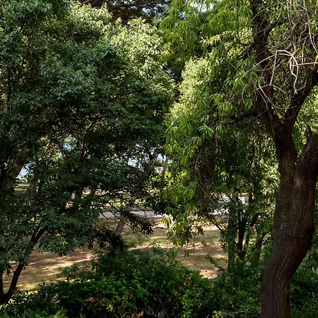 Linda 别墅 斯普利特